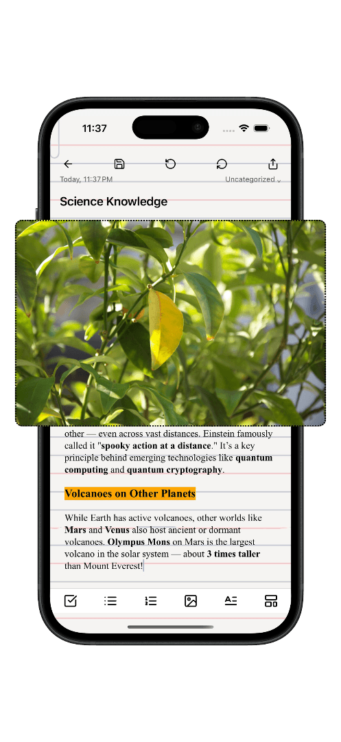 Zynotes screenshot 3